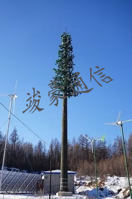 美化樹